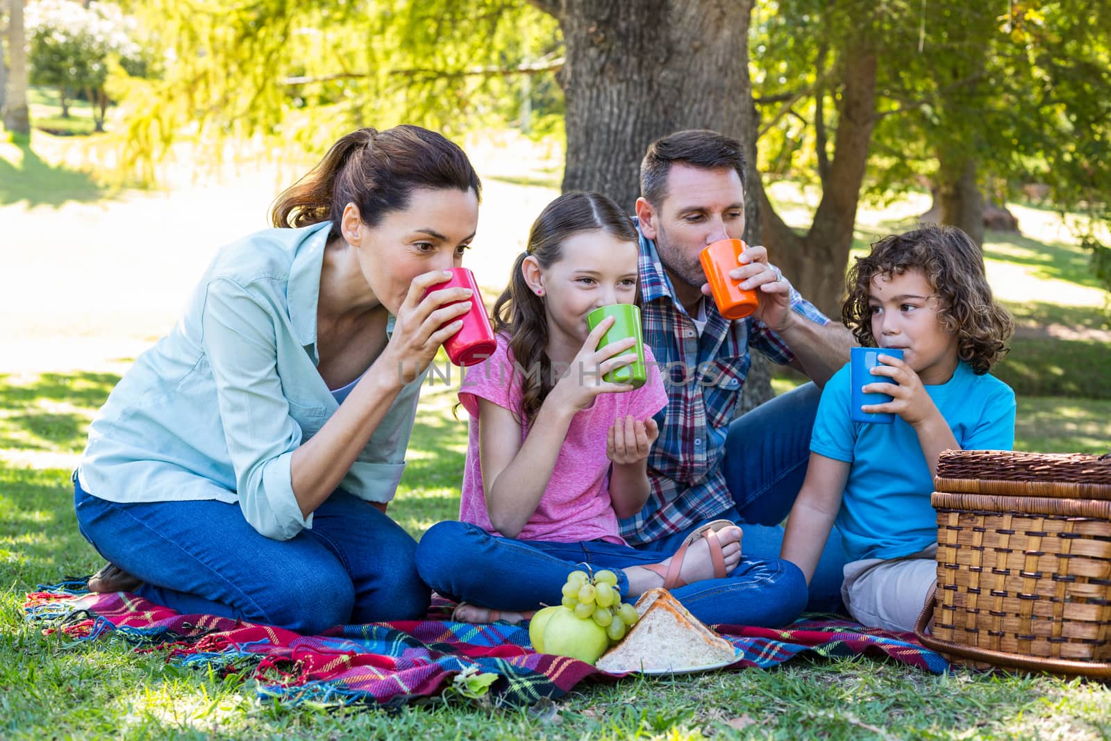 Happy family on a picnic in the park on a sunny day