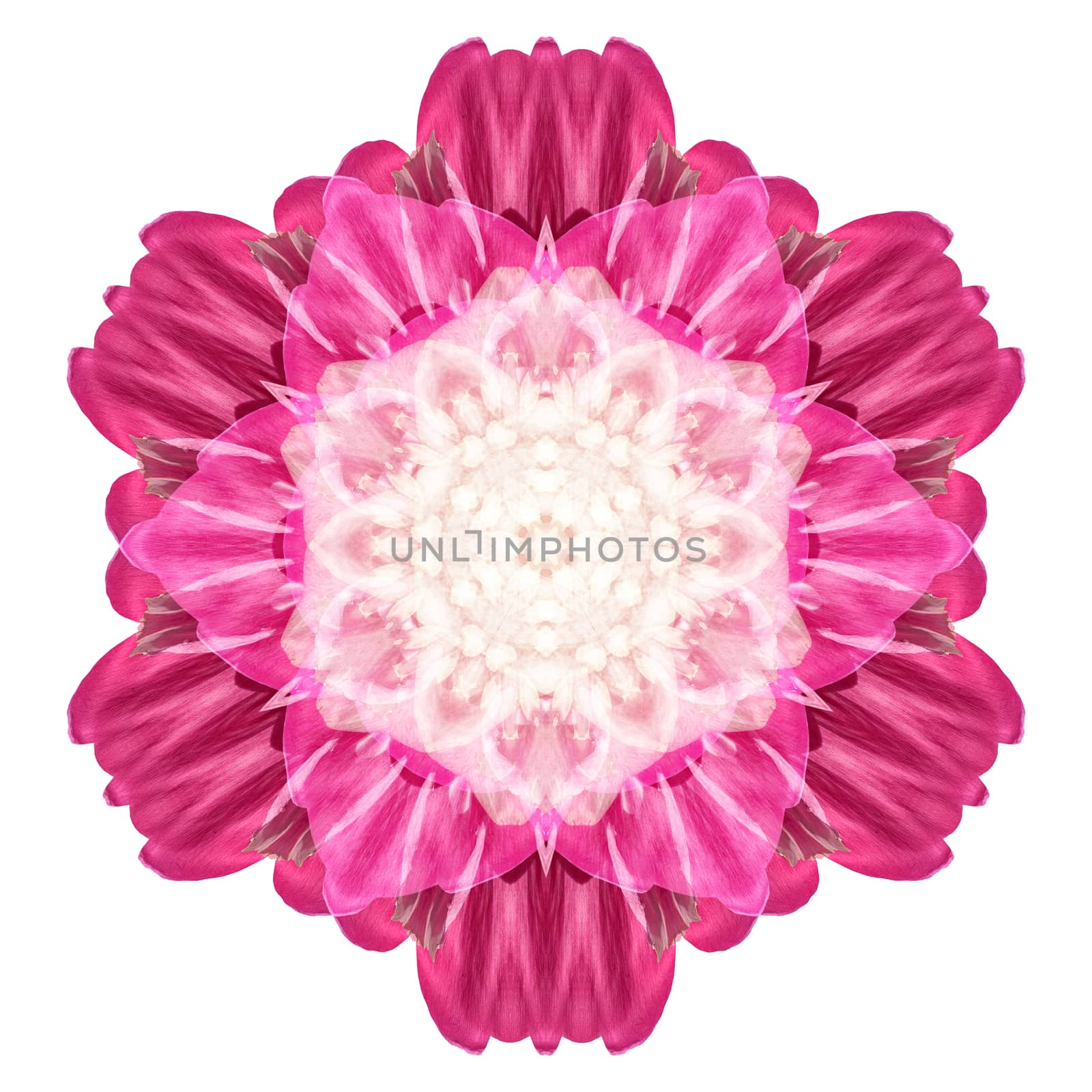 Flower mandala isolated on white background