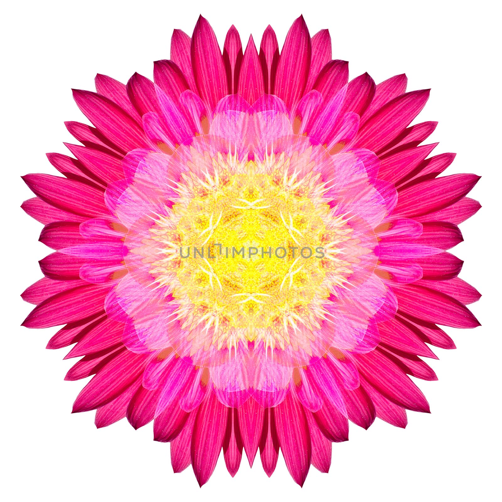 Flower mandala isolated on white background