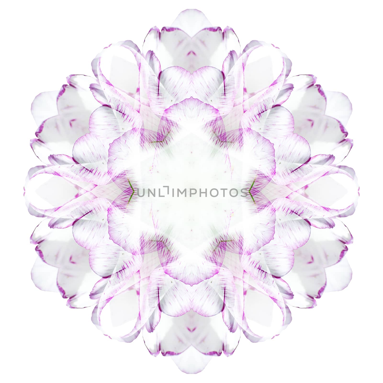 Flower mandala isolated on white background