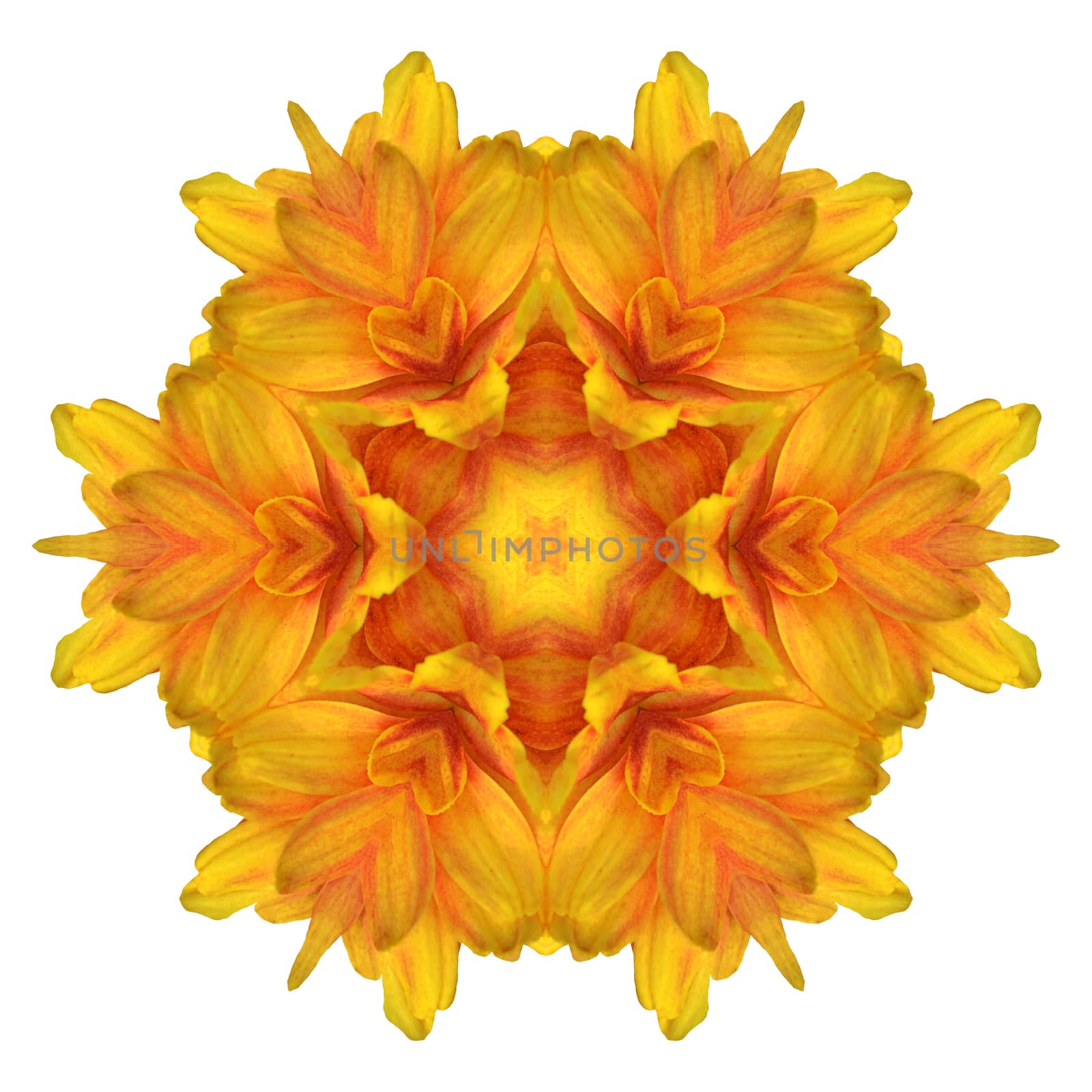 Flower mandala isolated on white background