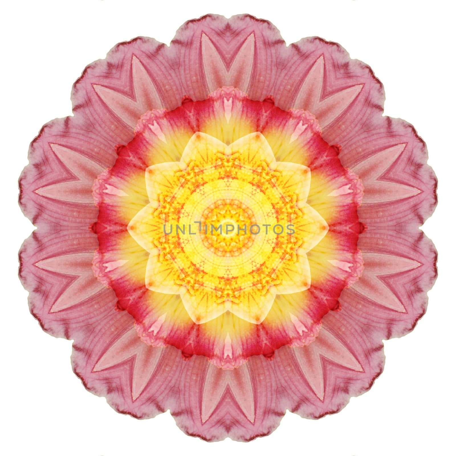 Flower mandala isolated on white background