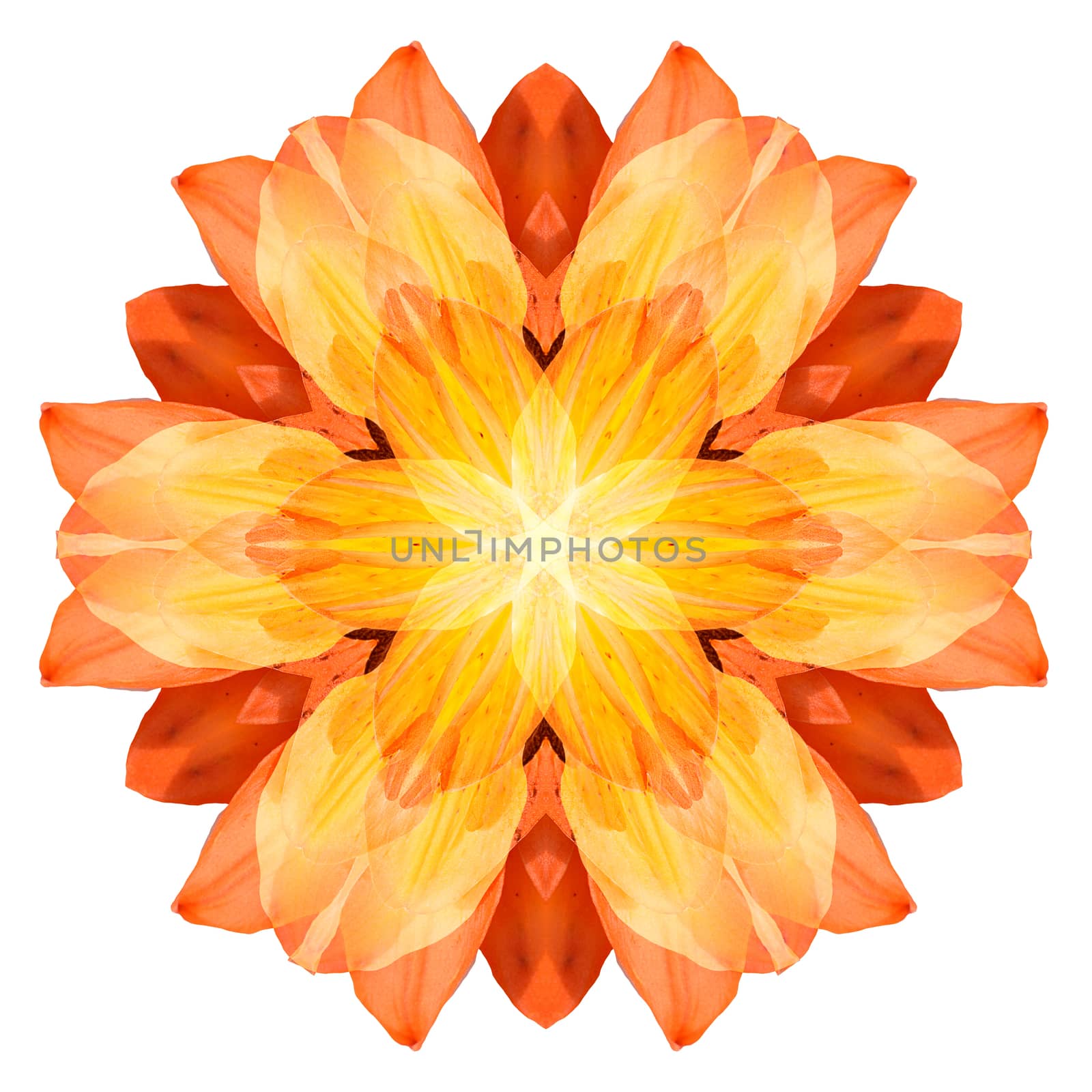 Flower mandala isolated on white background