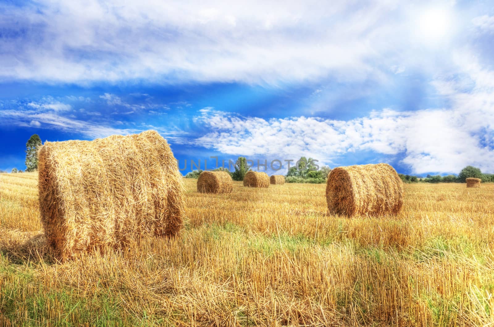 Summer landscape. Bright sun over green fieldw ith sheaves at summer.