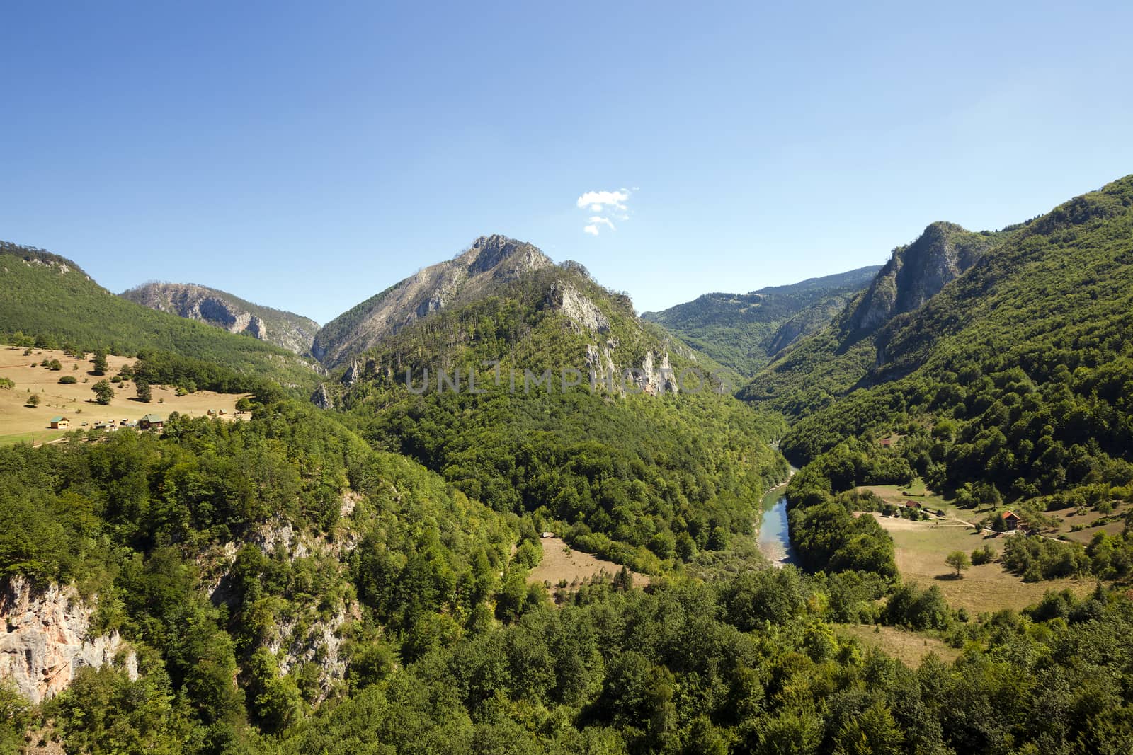   the mountains covered with various trees, other plants. Montenegro