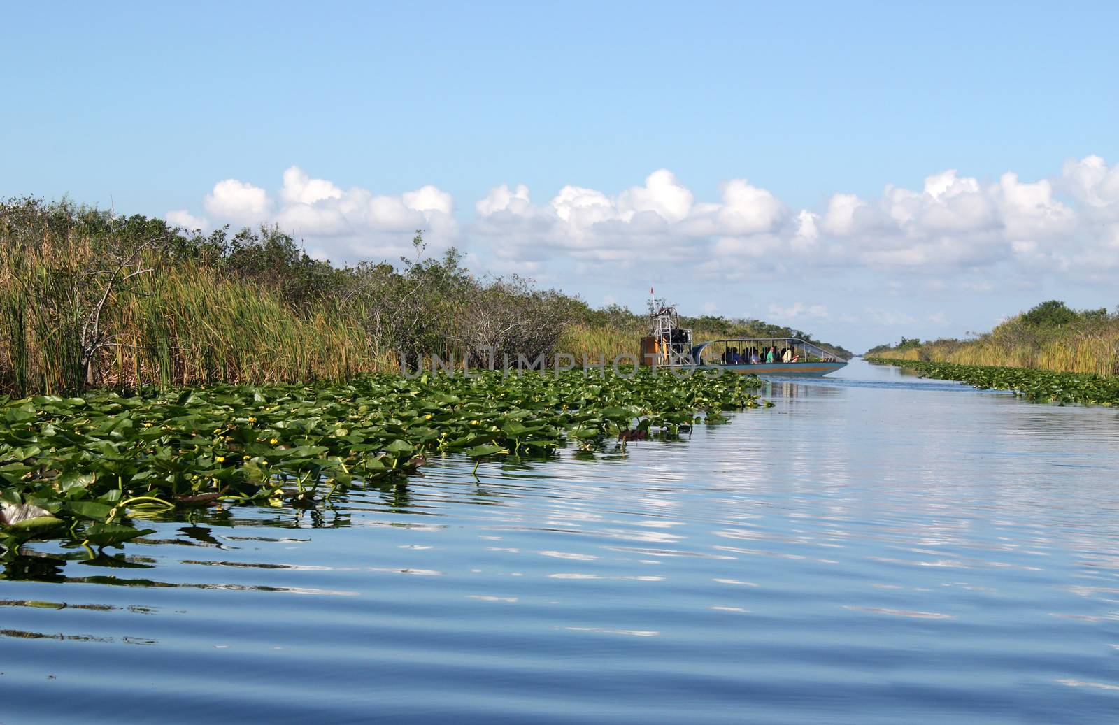Airboat on tropical wetland in Everglades National Park in Florida