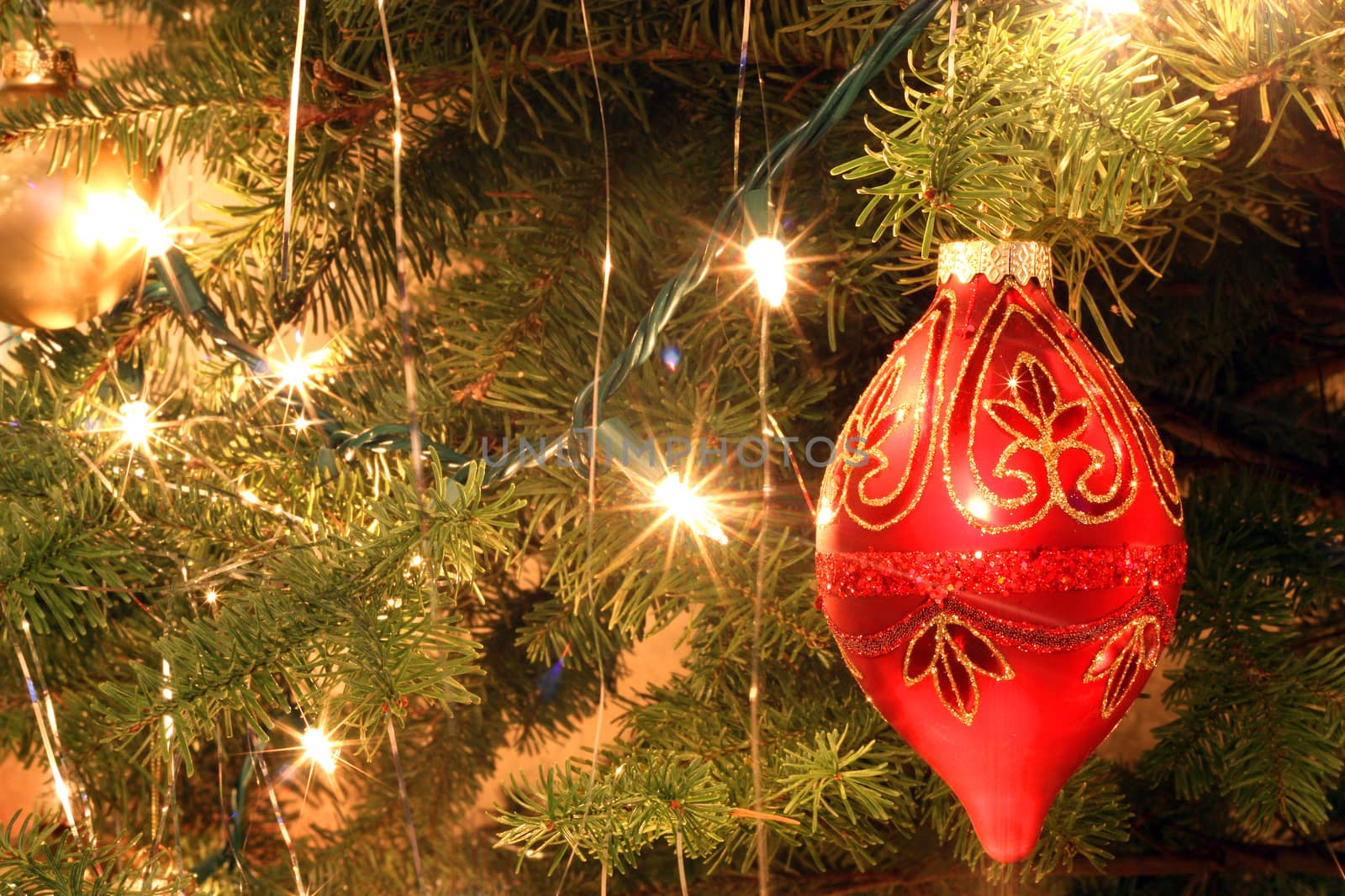 Ornament on christmas tree
