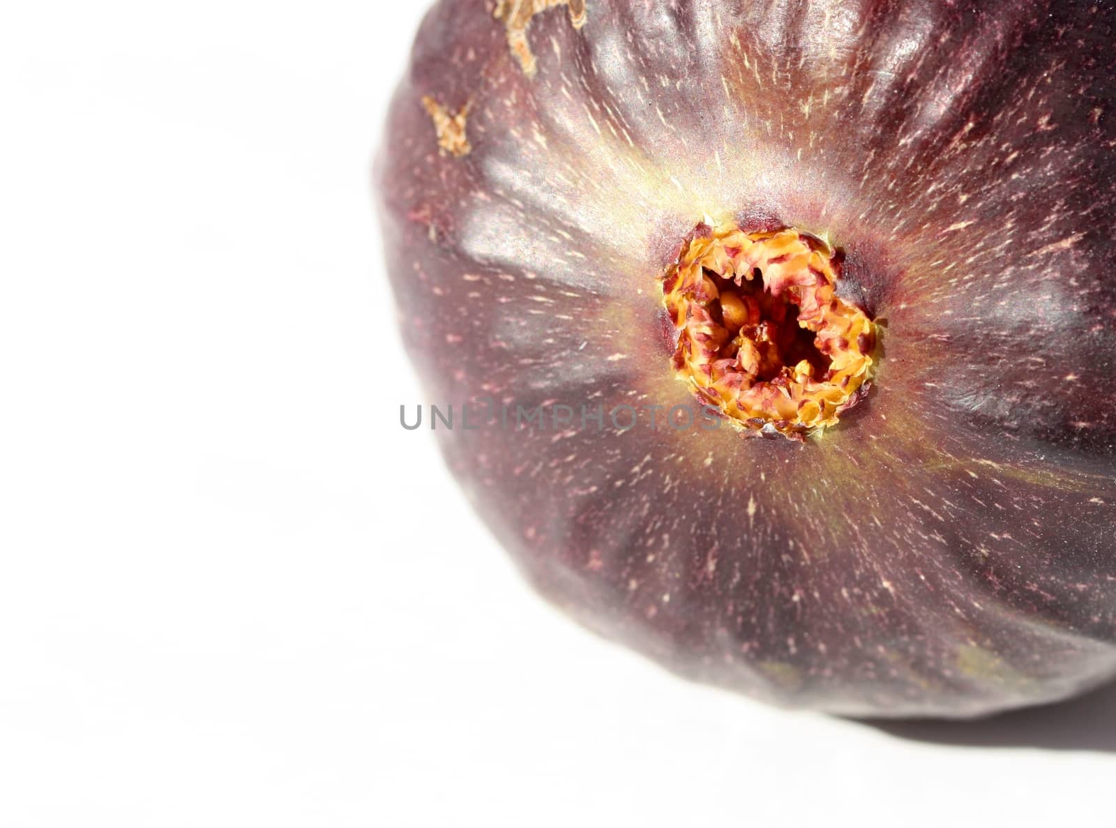 Close up of fresh ripe fig