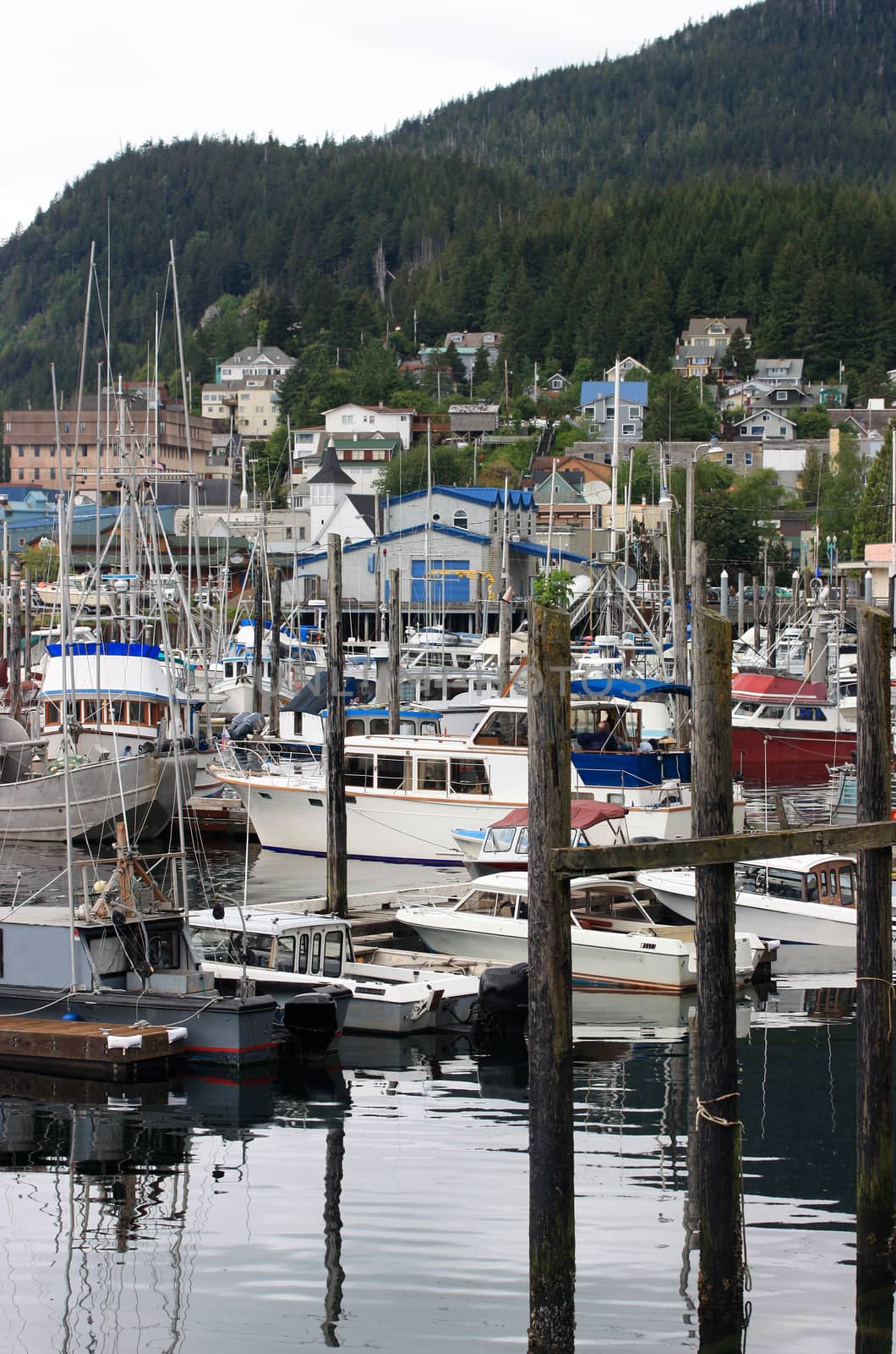 Scene of quiet harbor in Ketchikan Alaska