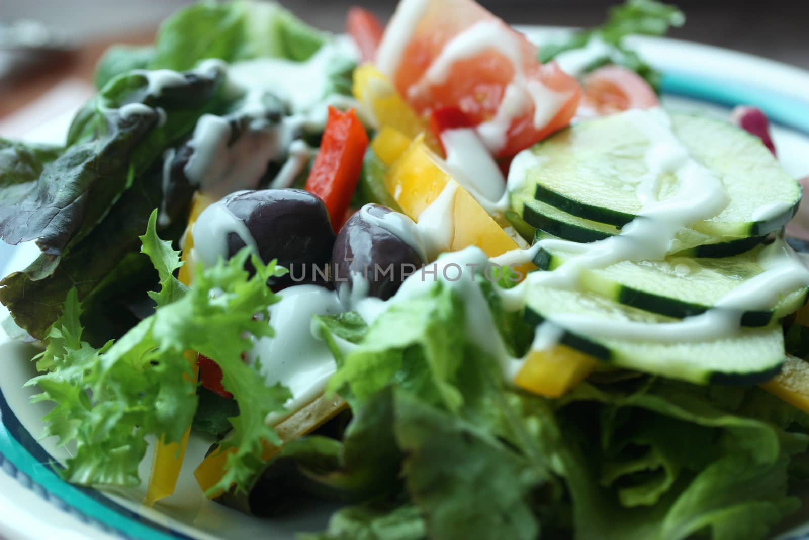 Plate of fresh green salad