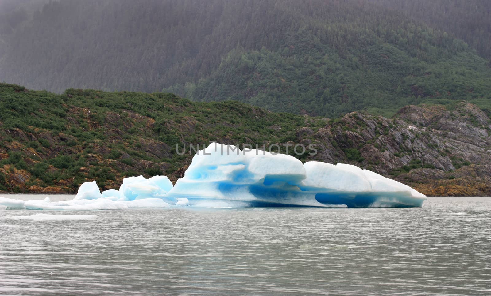 Iceberg in Mendenhall Glacier in Juneau Alaska