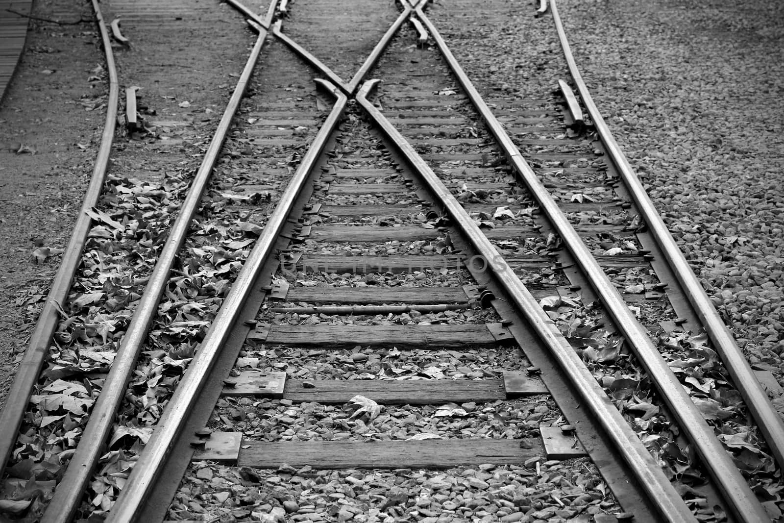 Black and white photo of old railway