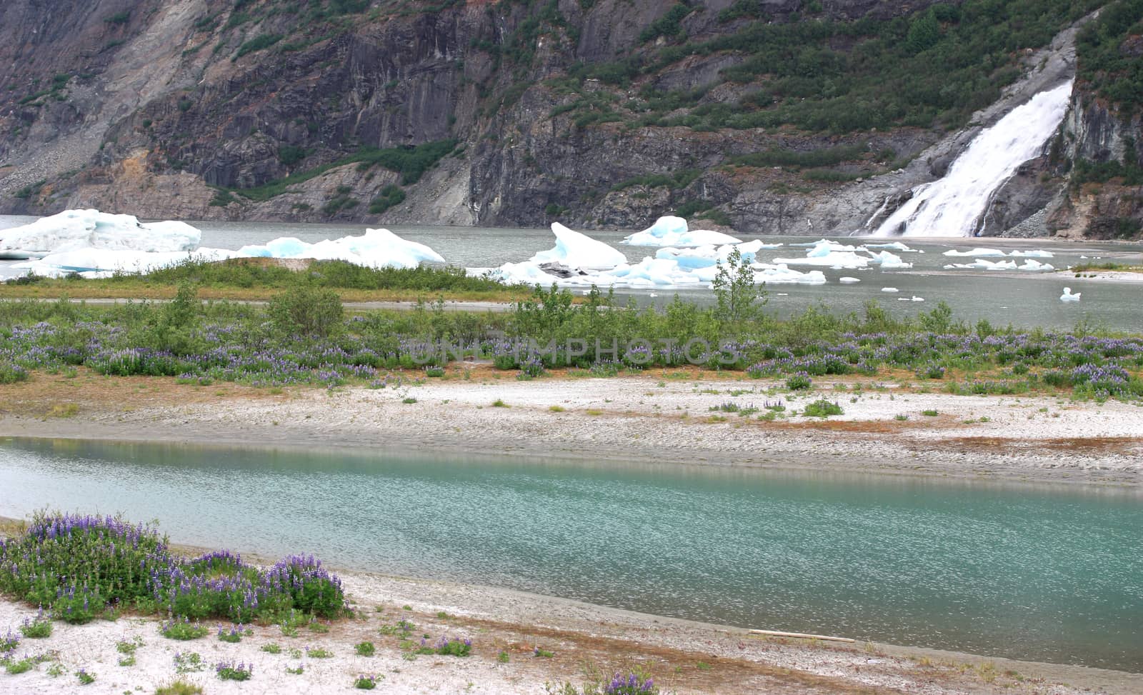 Mendenhall Glacier National Park in Juneau Alaska