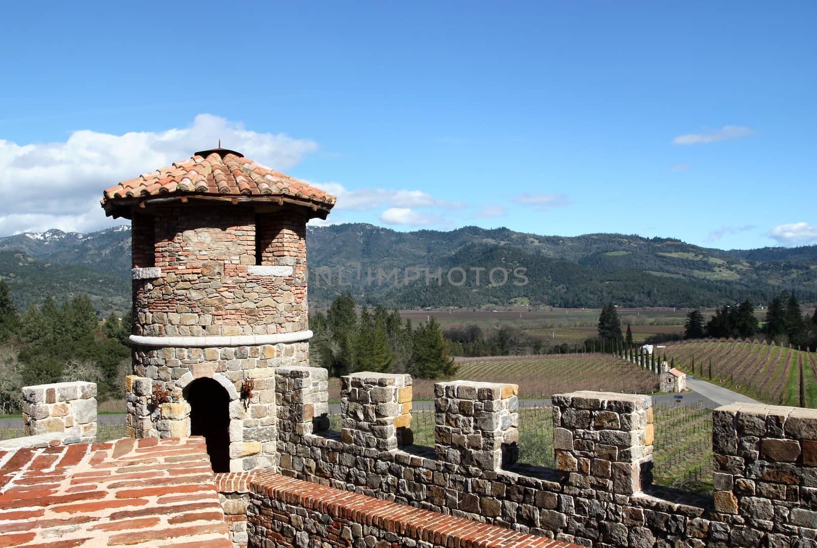 Top of old castle in rural vineyard
