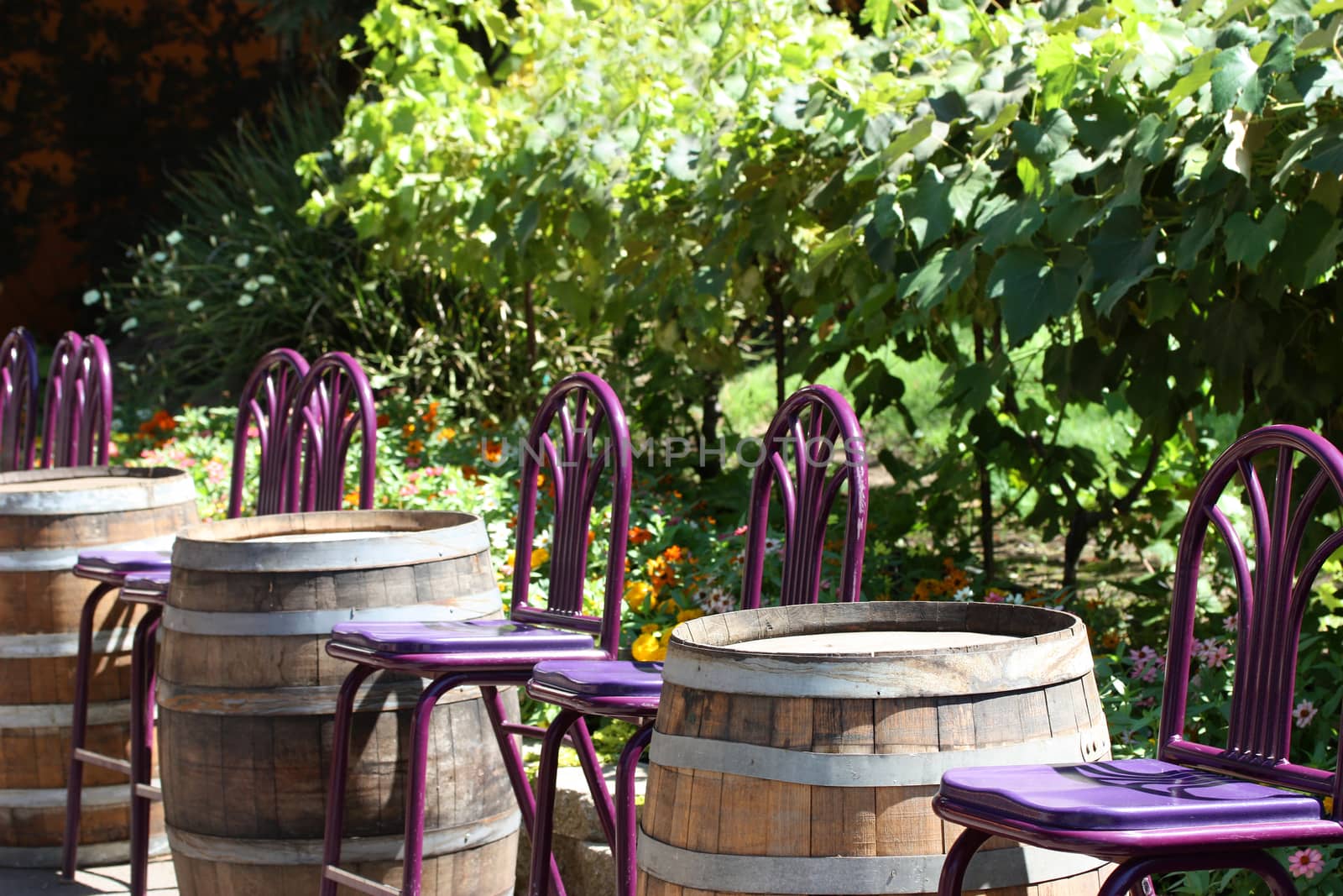 Outdoor wine tasting setting on old barrels