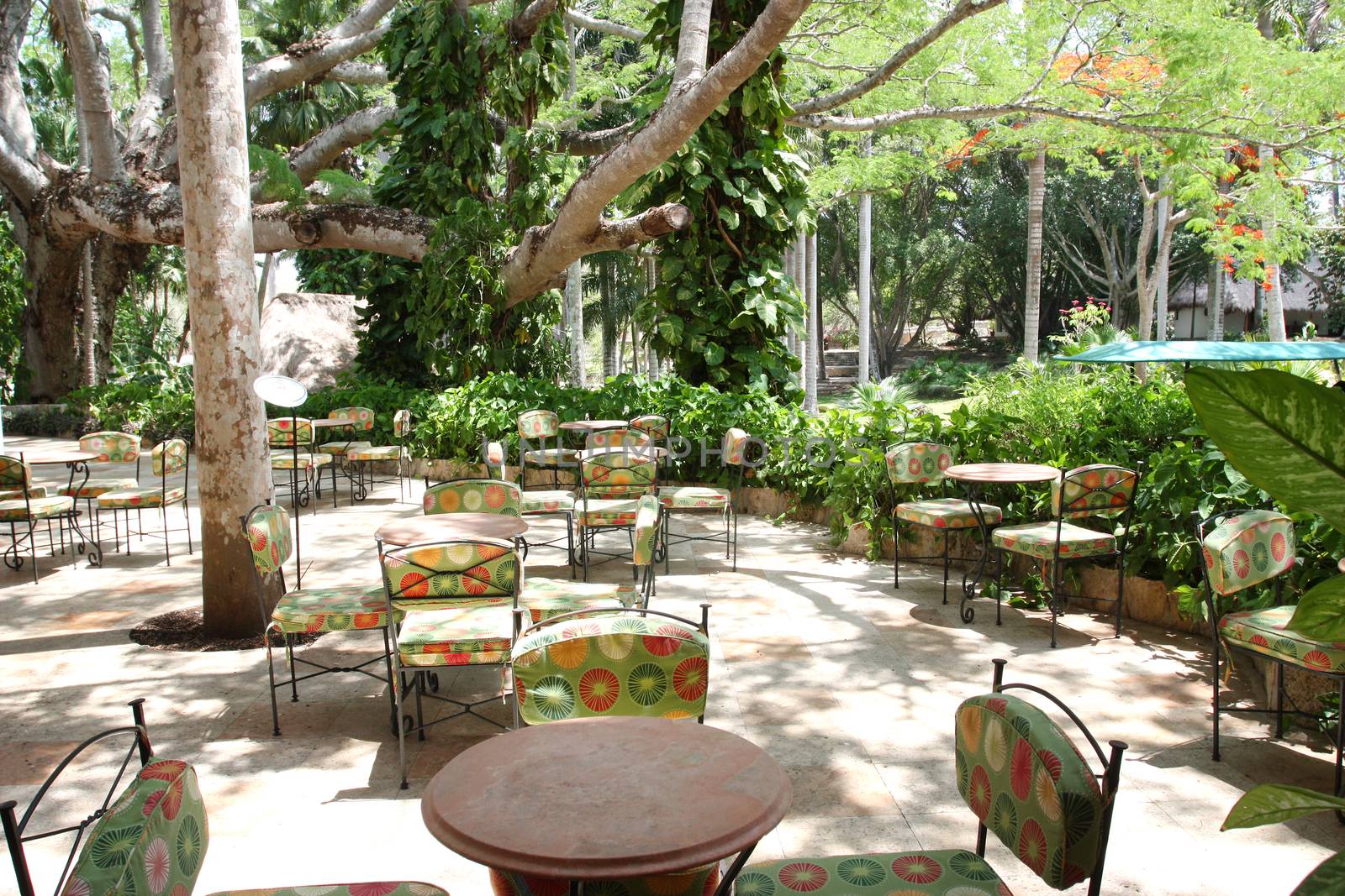 Casual cafe in tropical resort
