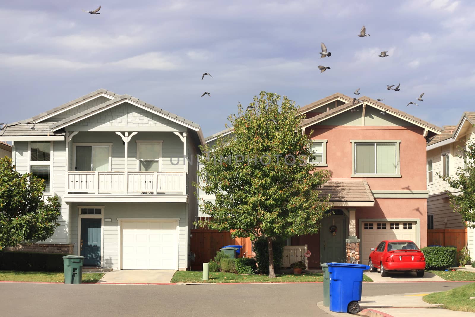 Standard houses in suburban neighborhood