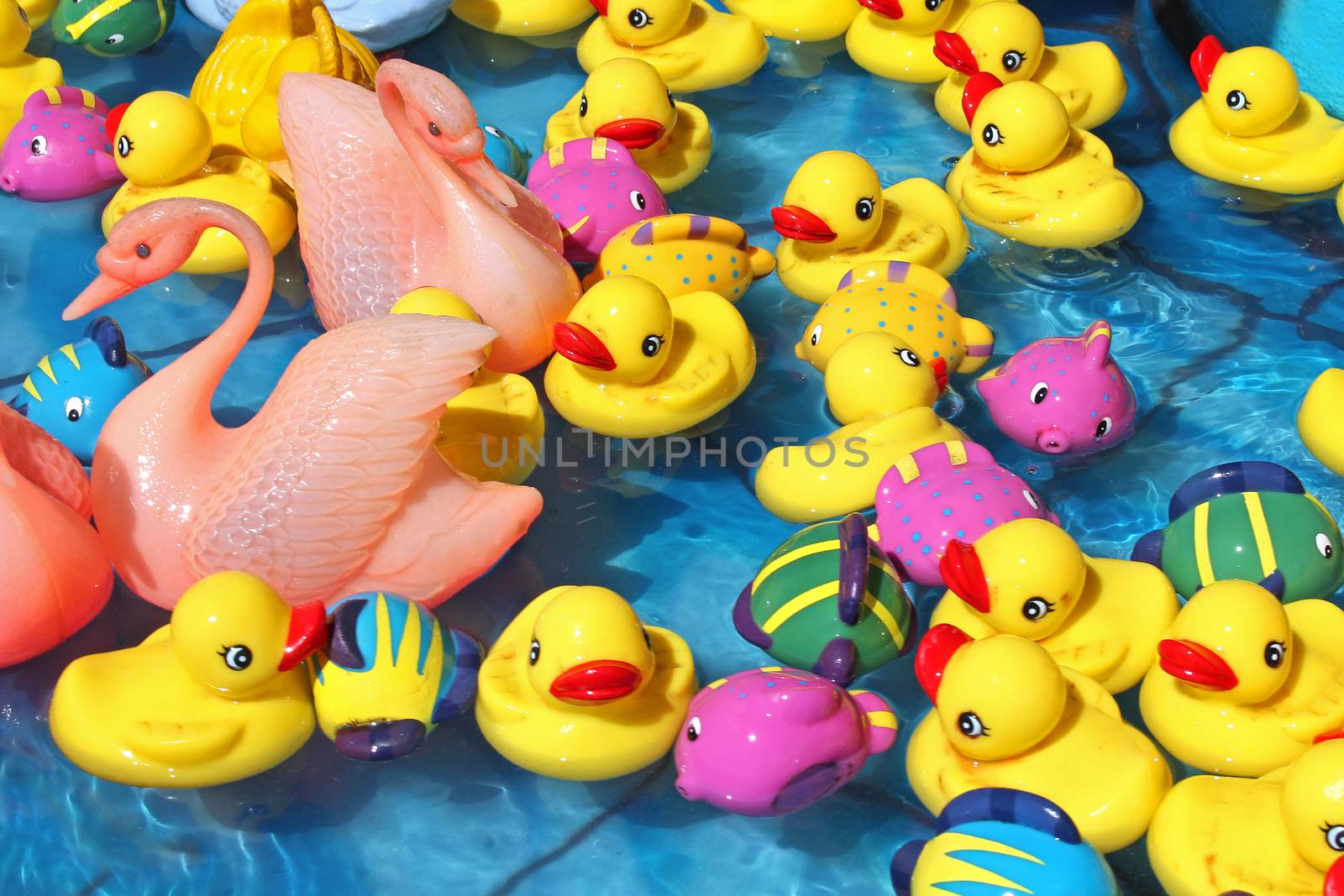 Various toy ducks in water by ziss