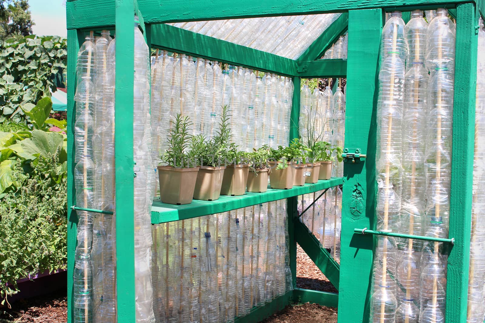 Greenhouse from recycled bottles