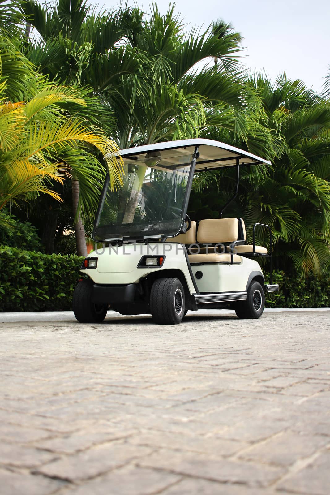 Golf cart at the tropical resort