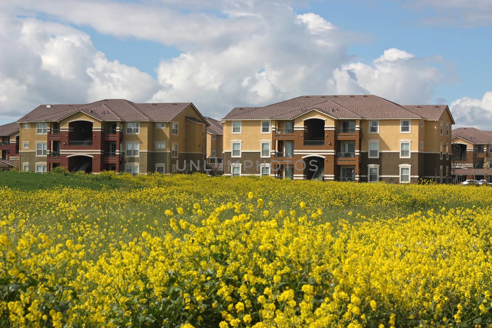 Row of apartments near spring field