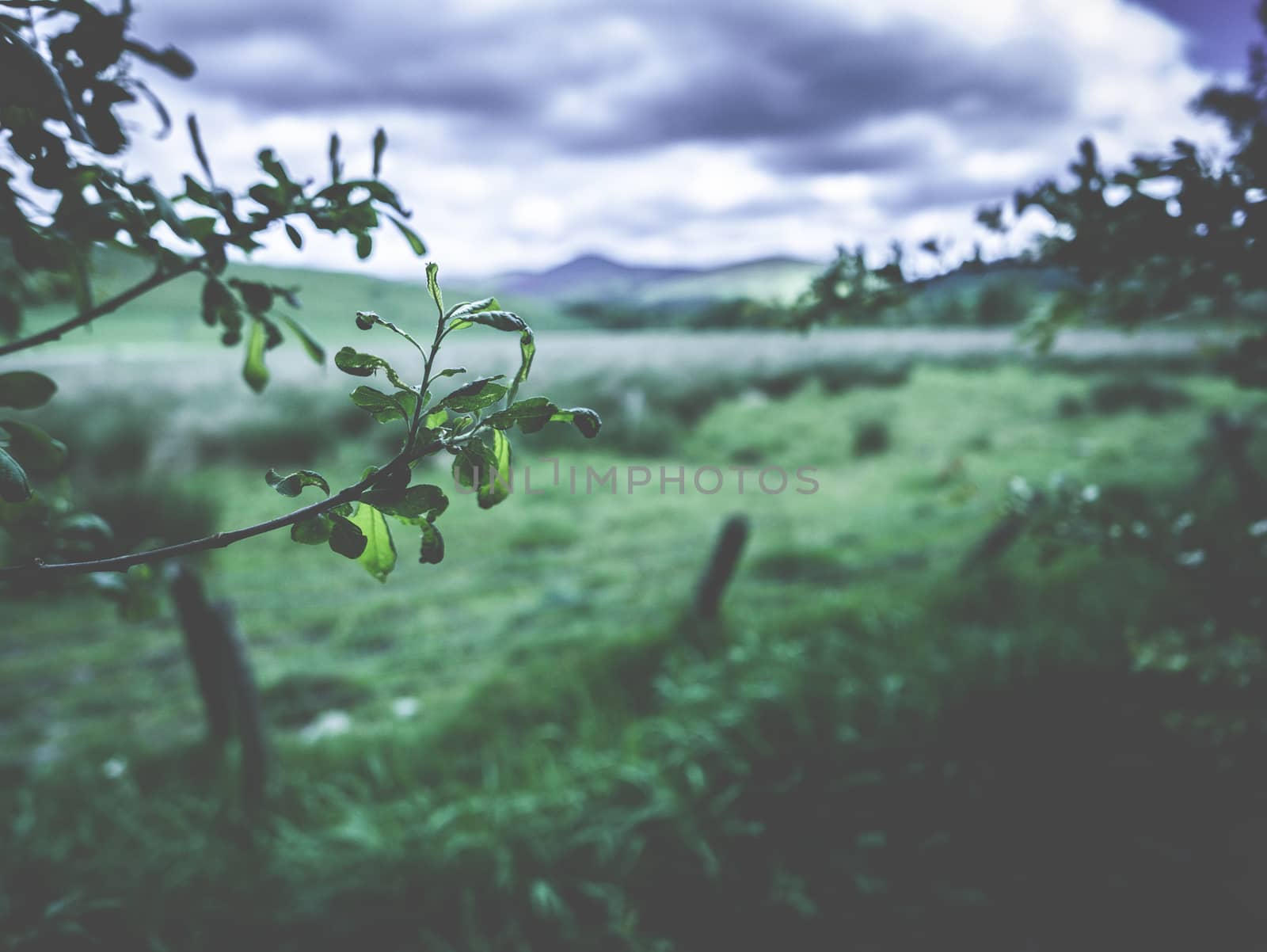 A Rural Scene With A Dramatic Stormy Sky