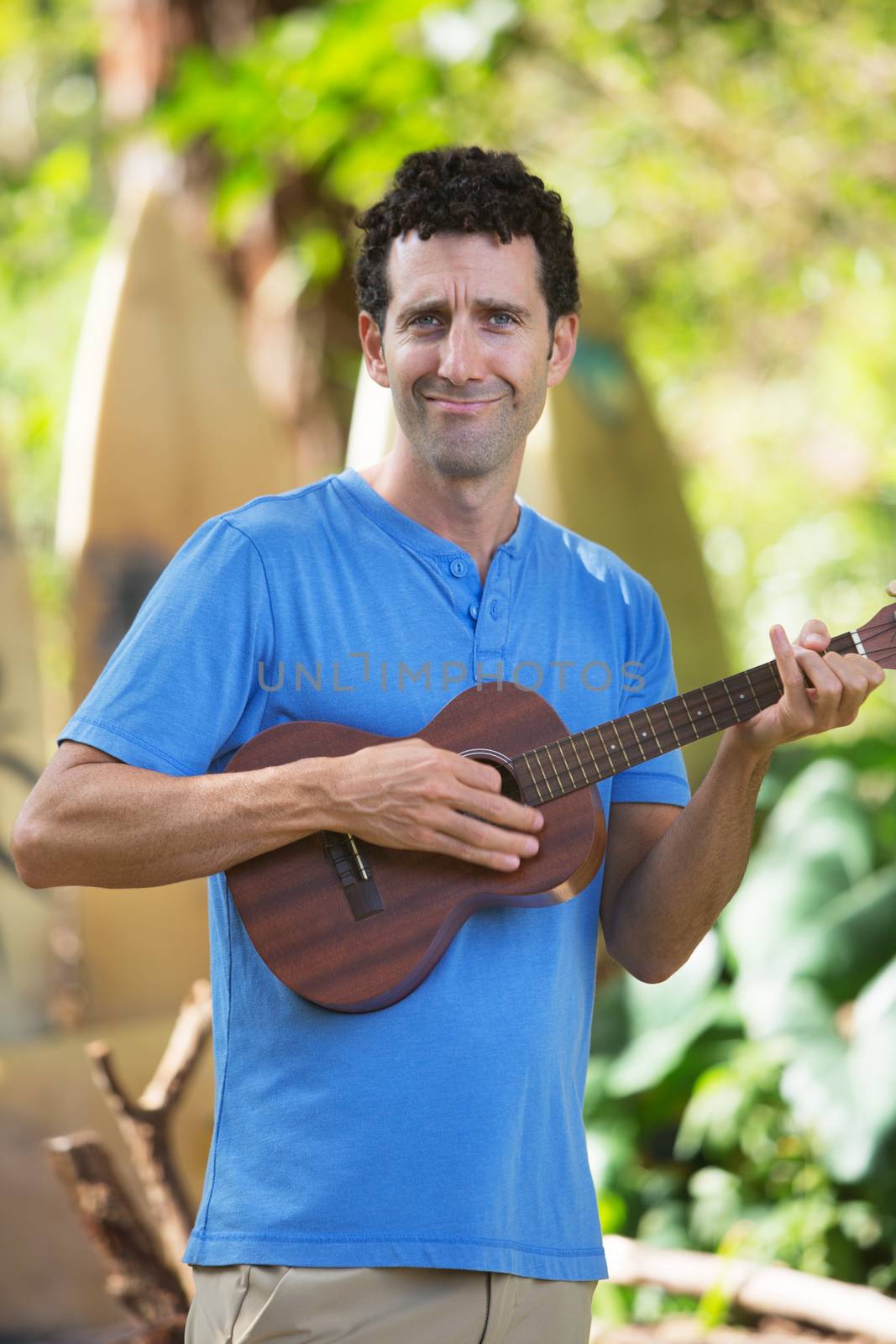 Ukelele Performer in Hawaii by Creatista