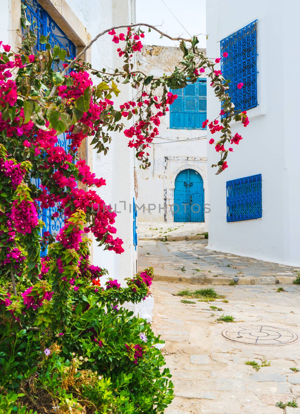 Street of Sidi bou Said in Tunisia. Travel scene