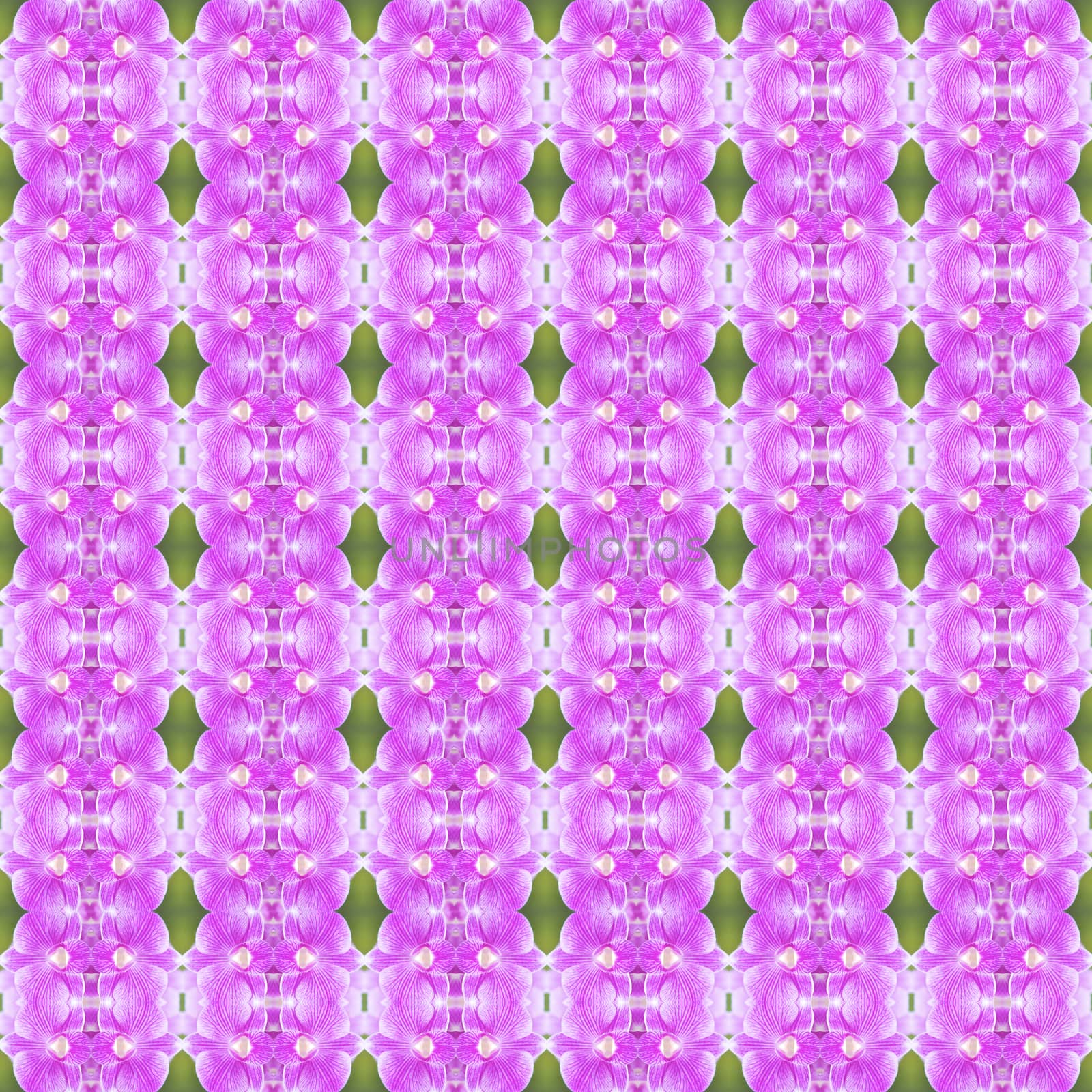 Pink orchid flower and green background seamless use as pattern and wallpaper.