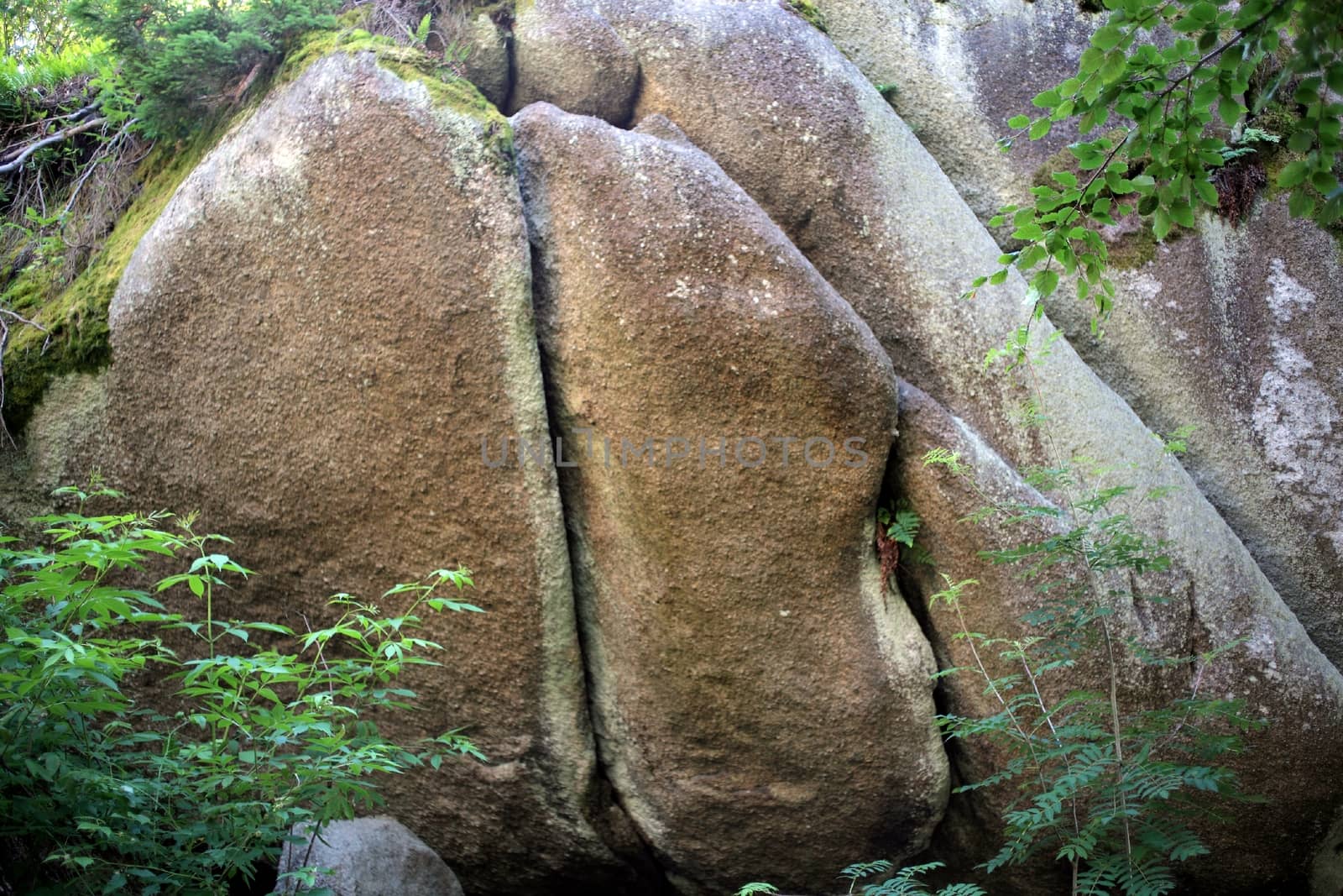 Large granitic rocks in the Fichtel Mountains in Southern Germany.