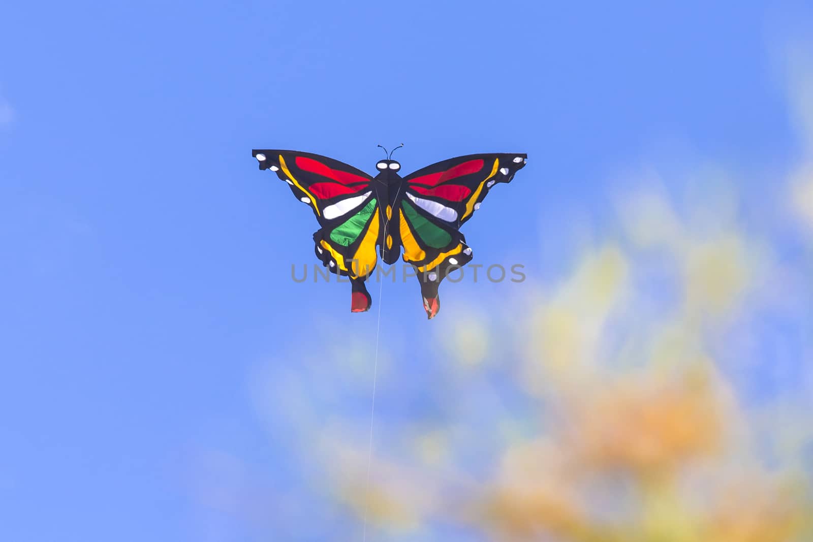 Colorful Kite Butterfly Flying in Blue Sky.