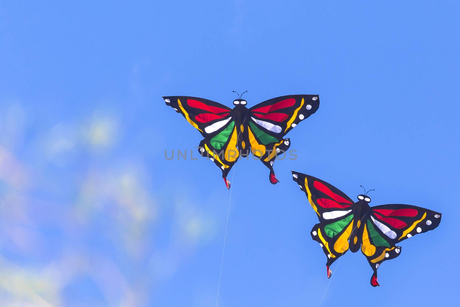 Colorful Kites Butterfly Flying in Blue Sky.