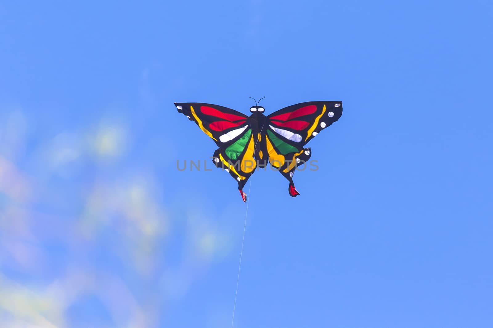 Colorful Kite Butterfly Flying in Blue Sky.