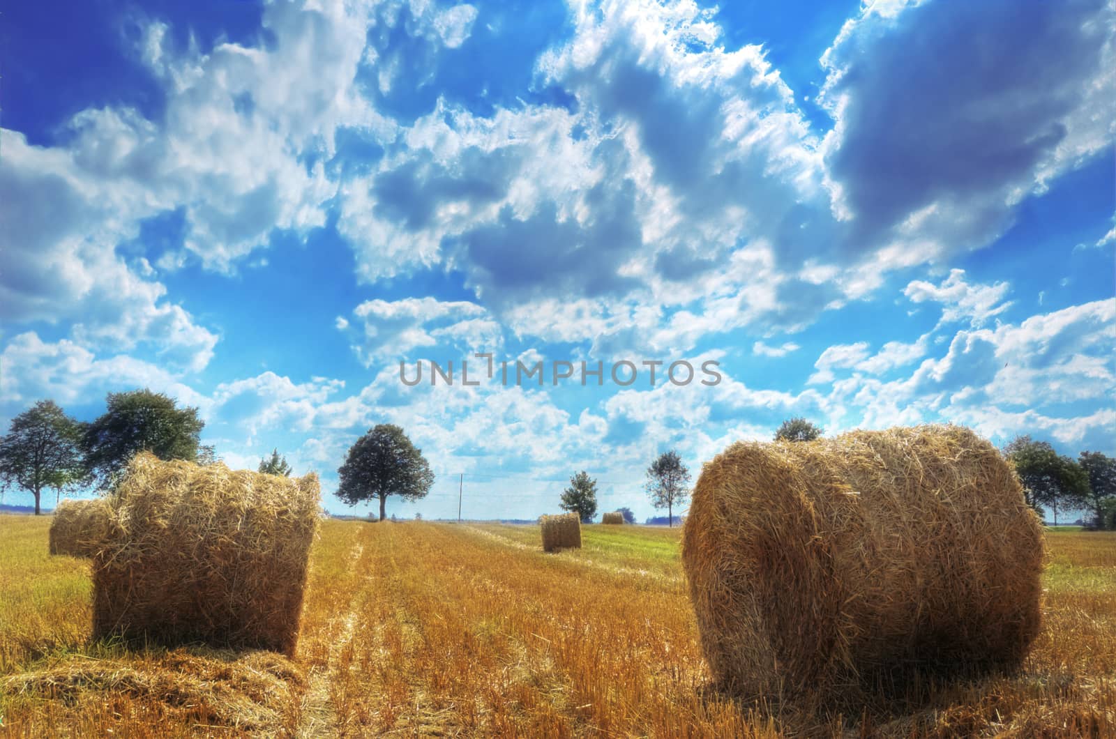 Field and sky. by satariel