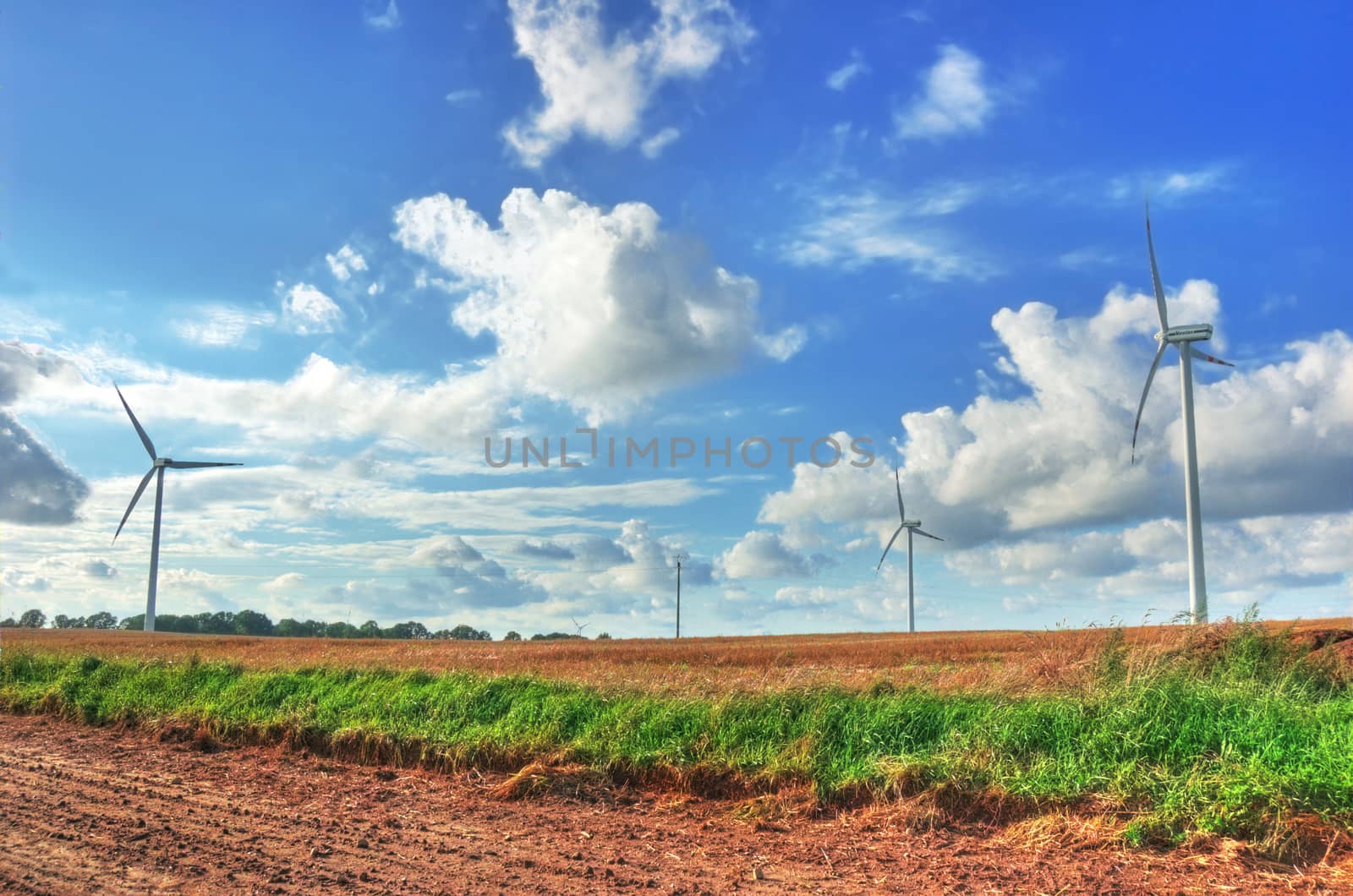 Windmills on the green field.