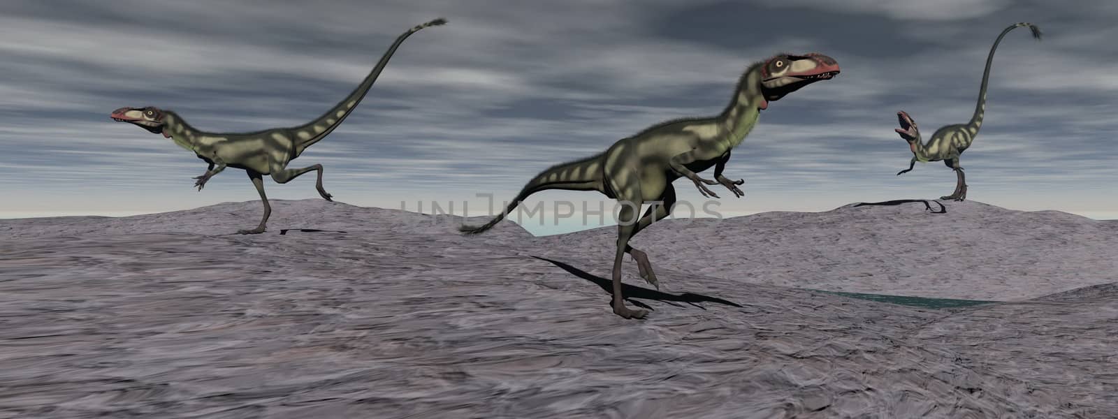 three dilong dinosaur on hills grey
