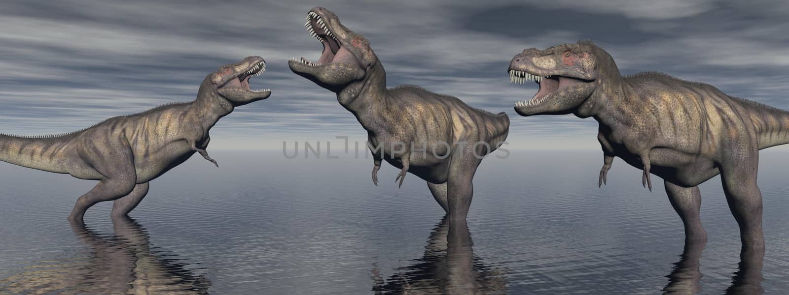 three tyrannosaure dinosaur in the lake
