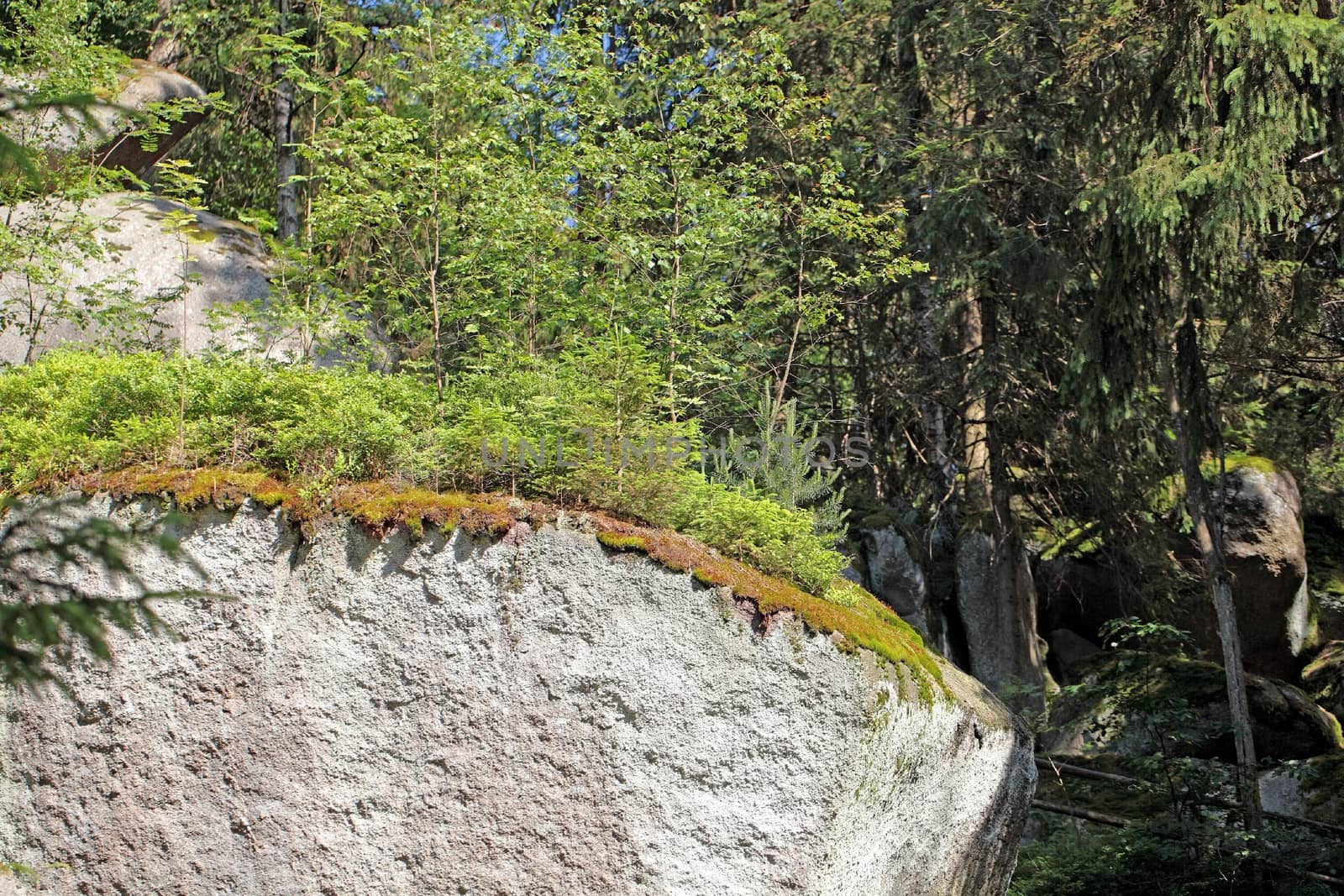 Rocks in the Fichtel Mountains by CWeiss