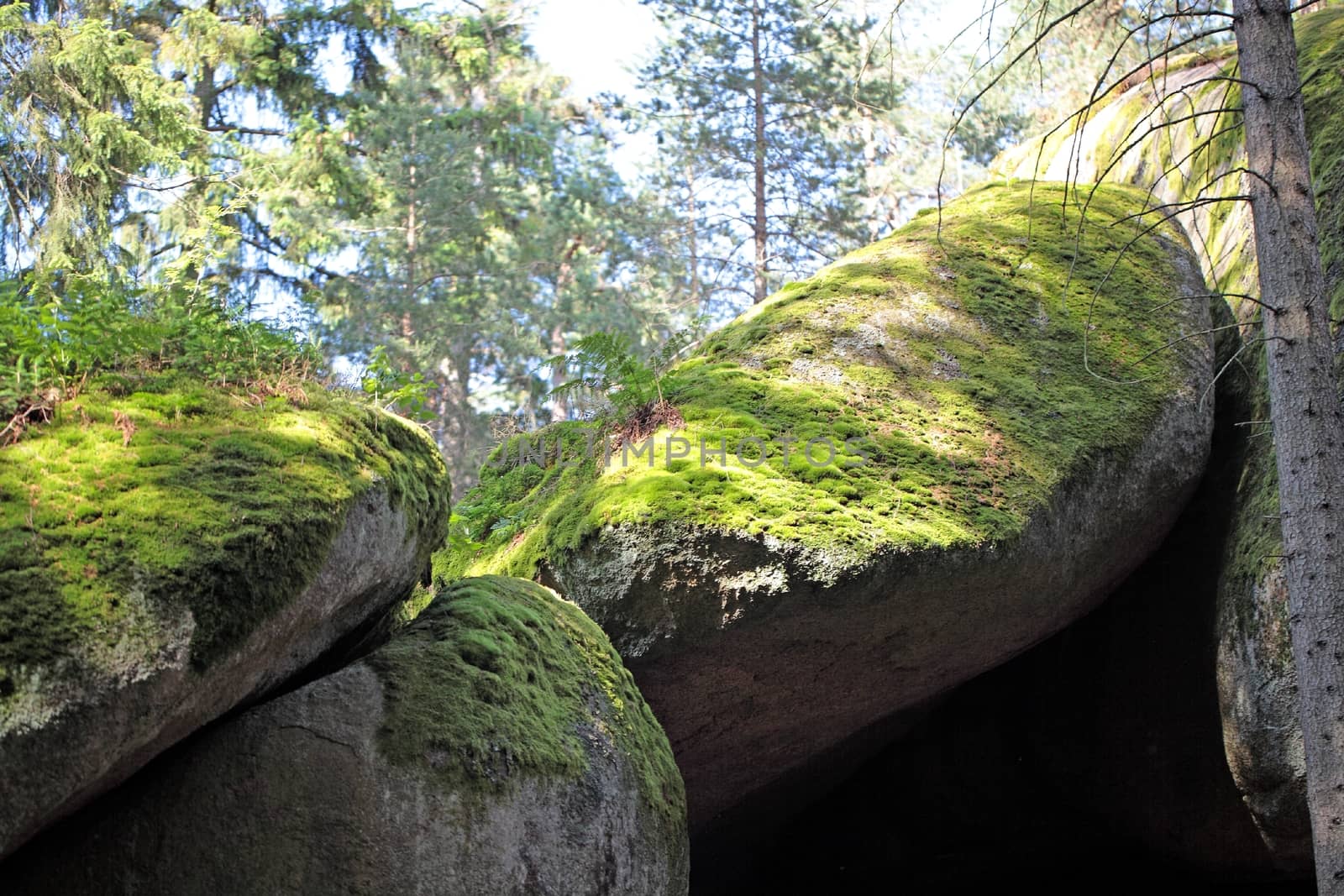 Large granitic rocks in the Fichtel Mountains in Southern Germany.