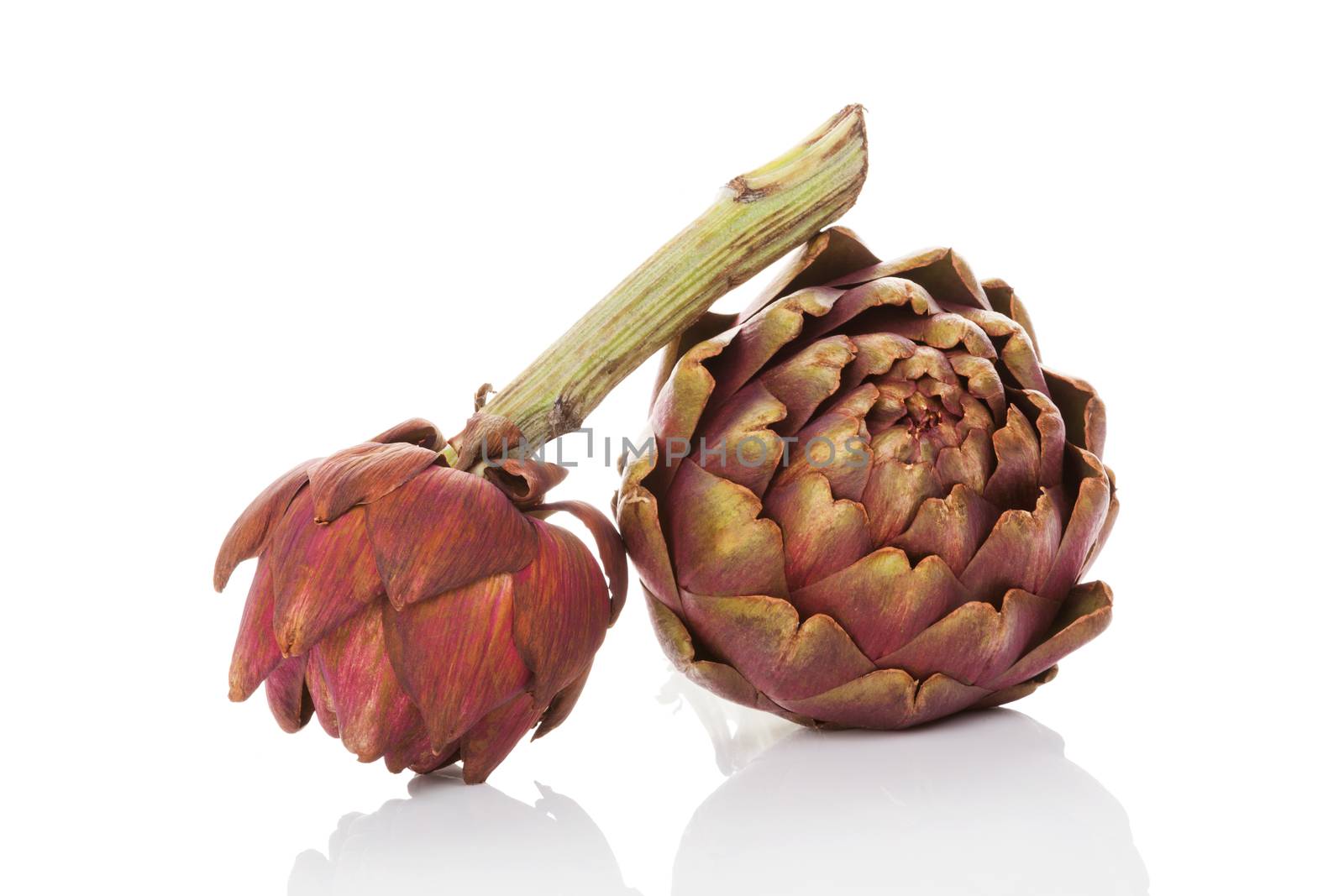 Fresh artichoke isoalted on white background. Healthy culinary vegetable eating. 