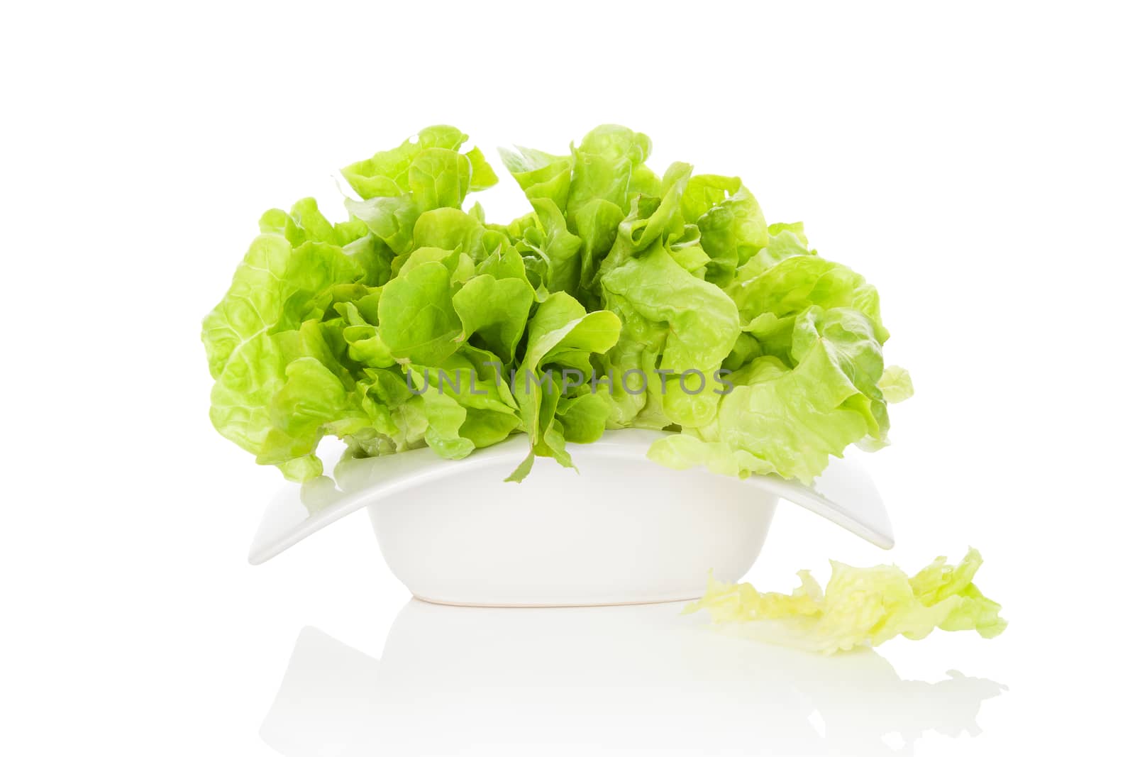 Fresh green salad in white bowl isolated on white background. Fresh healthy summer eating. Culinary arts.