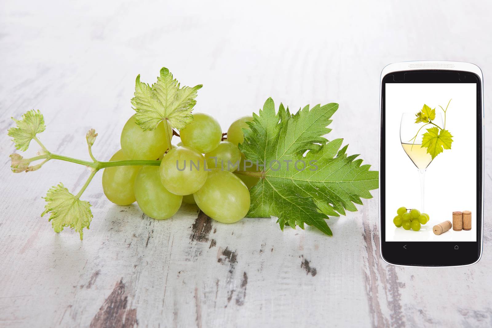 White grapes on wooden background and white wine still life on smartphone screen. Information age and culinary arts. Information at your fingertips.
