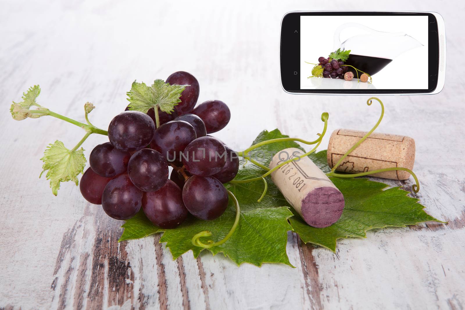Red wine grape with wine cork on white wooden textured background and smartphone with red wine information. Information age and Culinary arts.