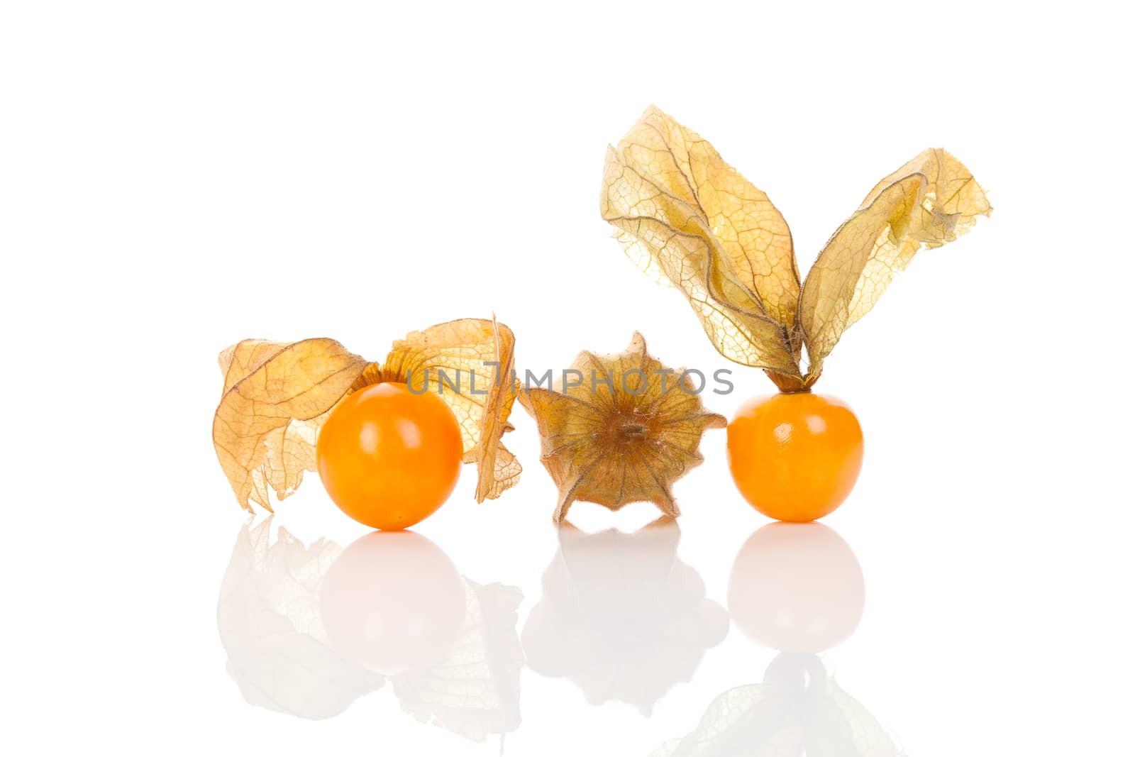 Physalis, ground cherry isolated on white background. Tropical healthy fruit eating. 