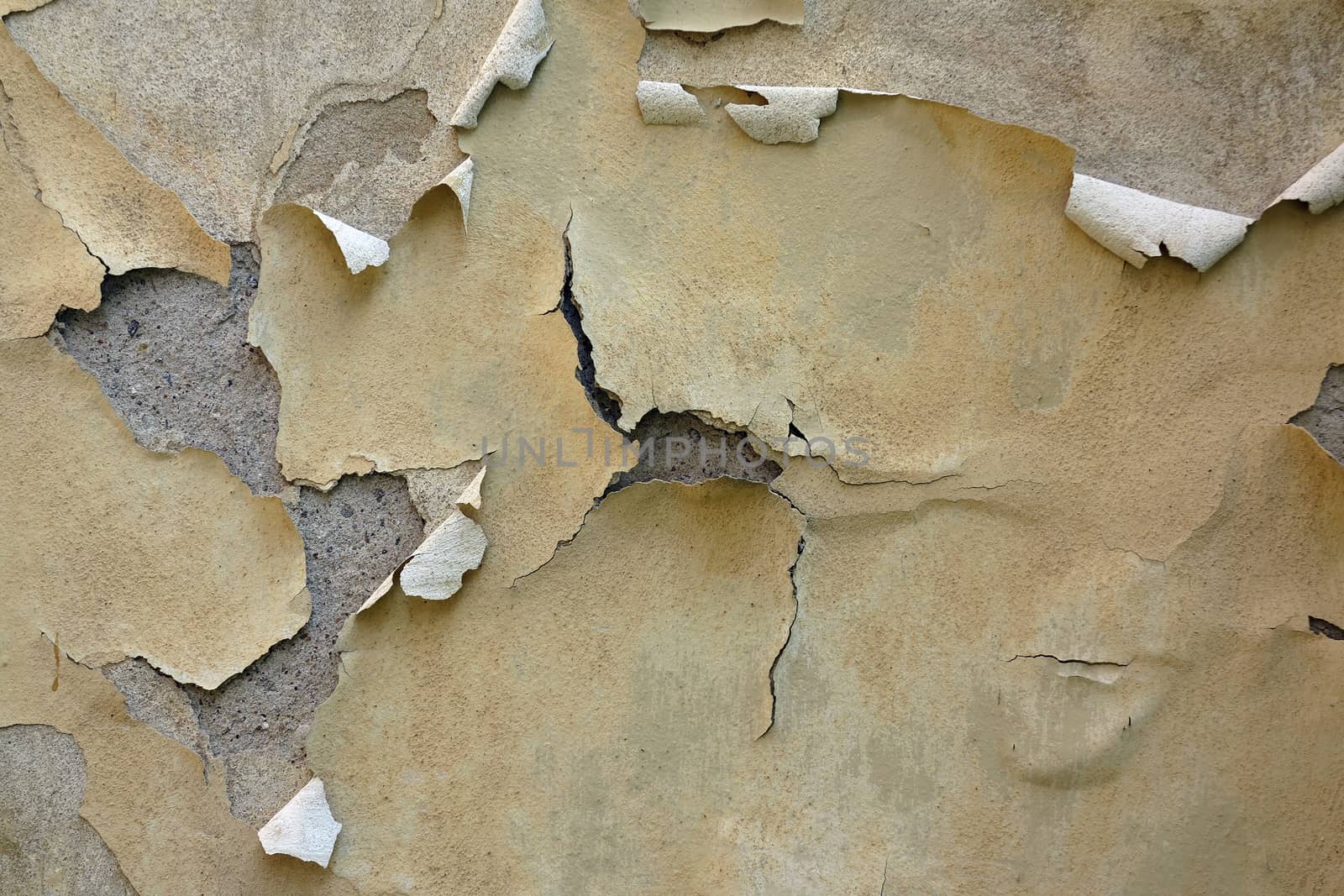 Abstract detail of the plaster bulges -  blistering