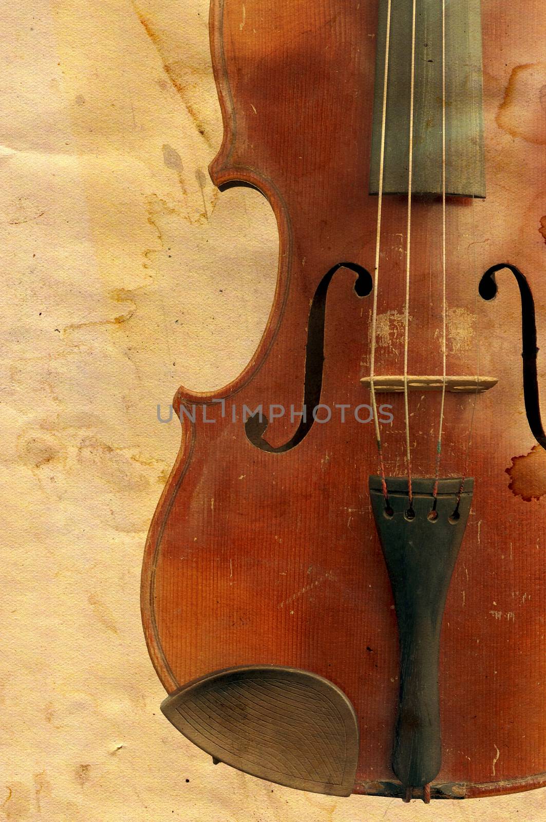 fiddle by Mibuch