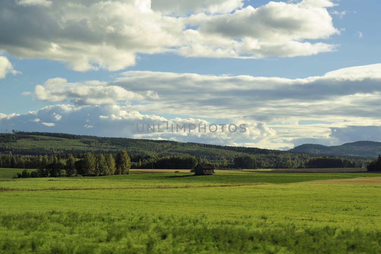 Beautiful swedish landscape.