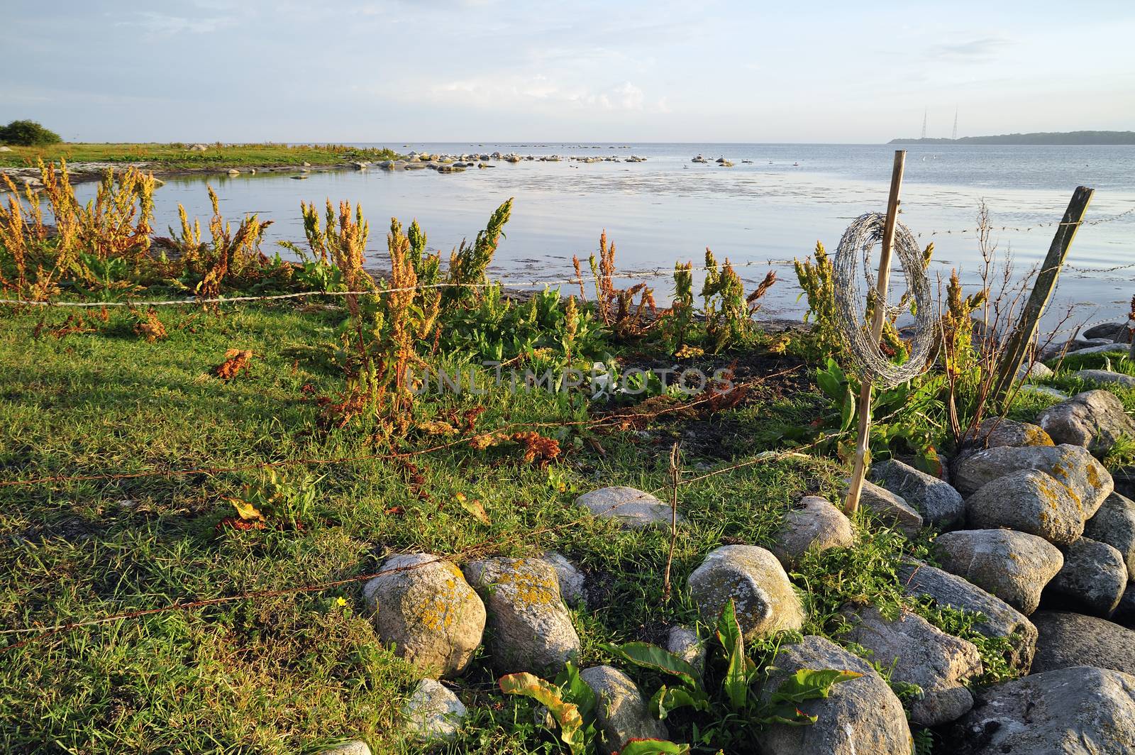 Swedish coastline by a40757