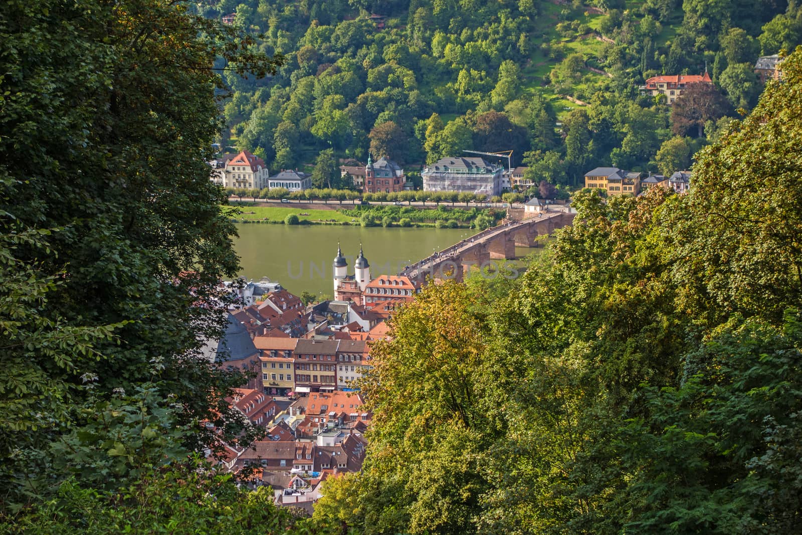 view over Heidelberg and river Neckar