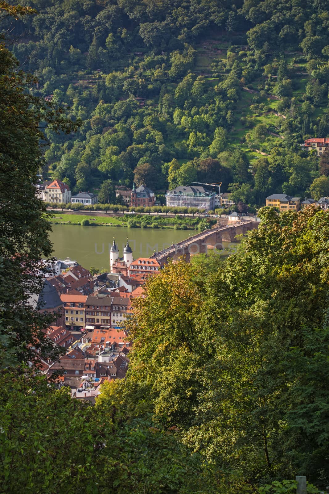 view over Heidelberg and river Neckar